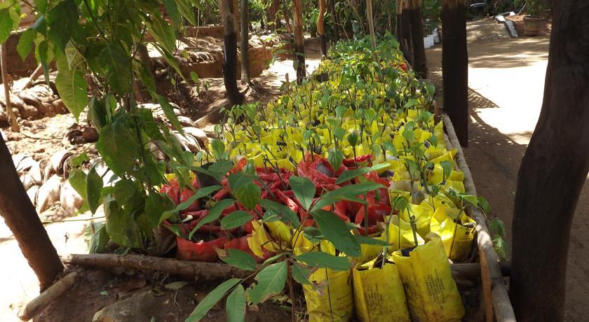 Heritage Walawa Resort Udawalawe Eksteriør billede